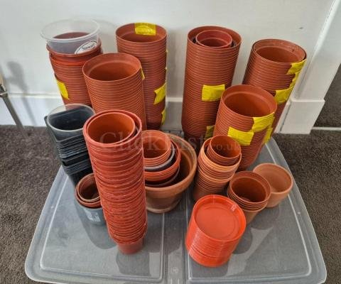 Assorted flower pots