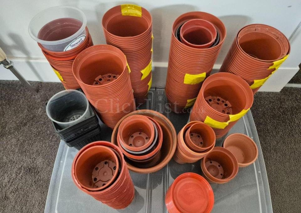 Assorted flower pots - 3/4
