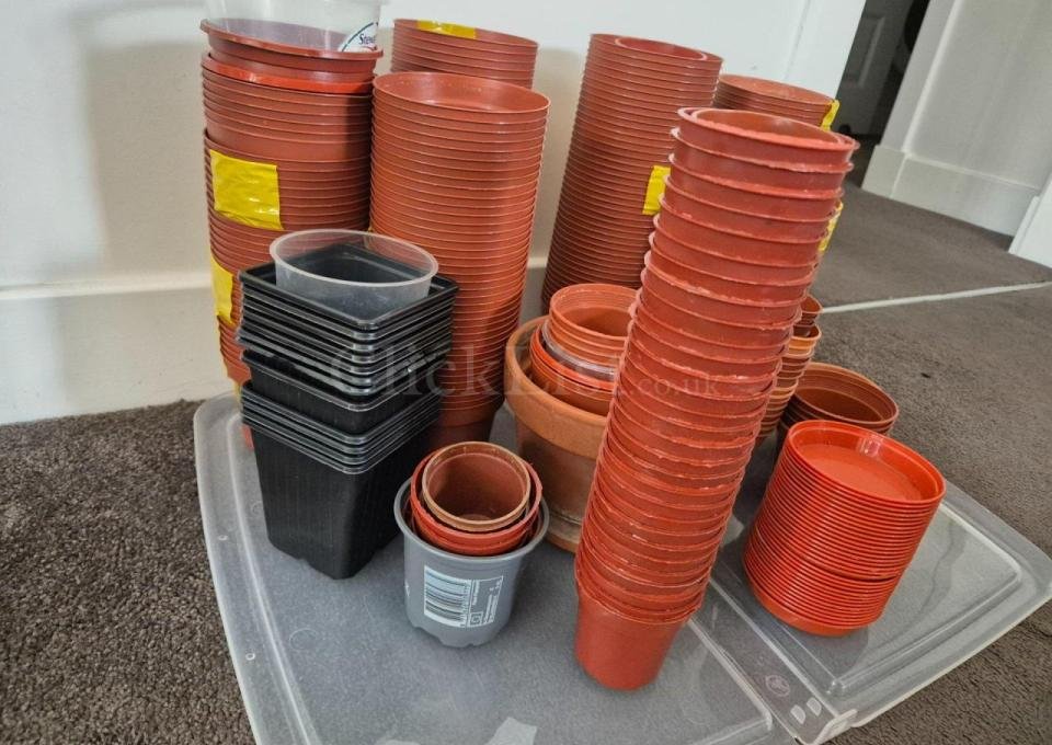 Assorted flower pots - 4/4